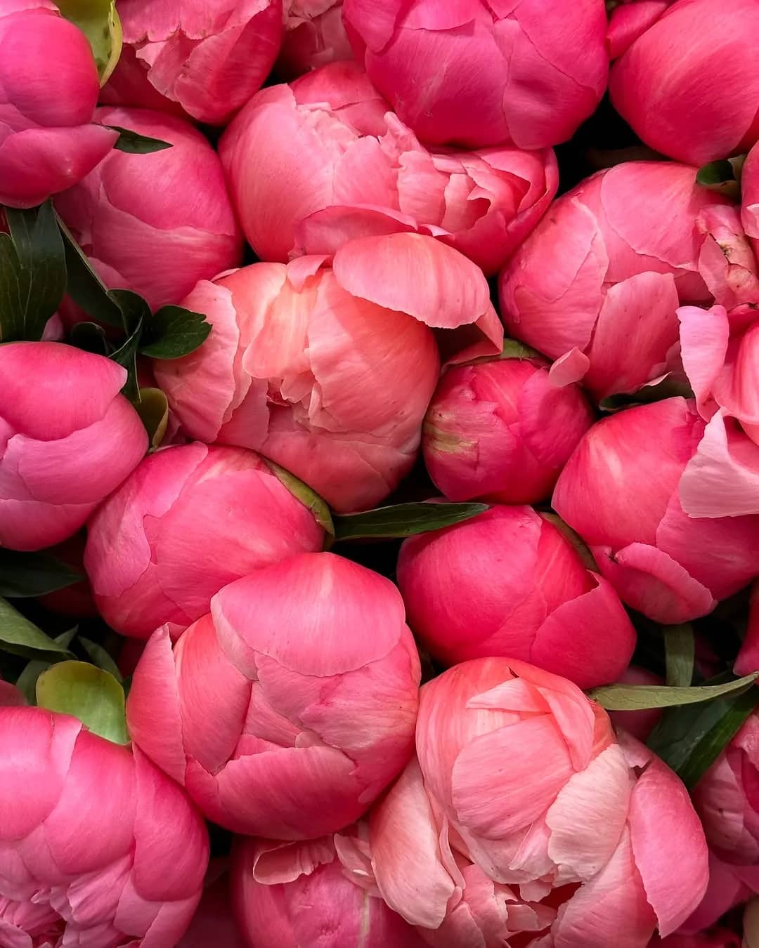 NARS Korea Softens Its Visual Language for the Blooming Deep Launch - Image 2