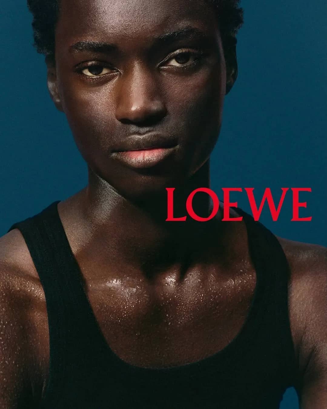 Loewe Frames LOEWE 7 Through Specialized Botanical and Digital Artistry - Image 1