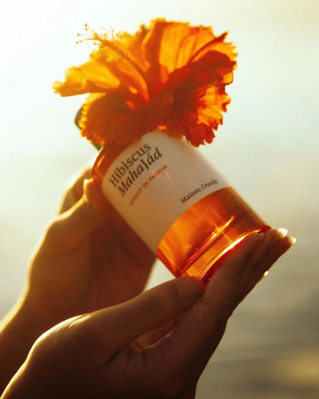 Quentin Bisch’s Hibiscus Mahajád Navigates the Friction of Raw Luxury - Image 1